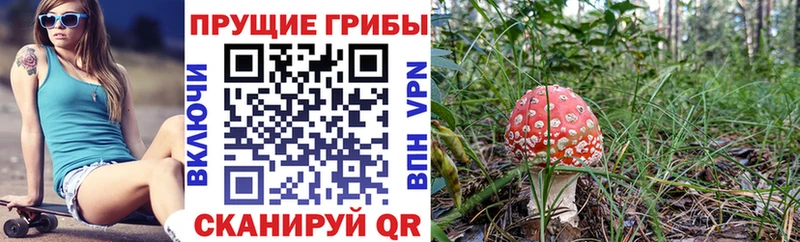 Галлюциногенные грибы мухоморы Верхний Уфалей